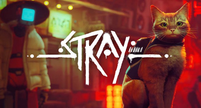 Stray