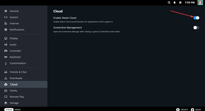 Enable Steam Cloud